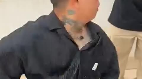 Latest funny video of the day