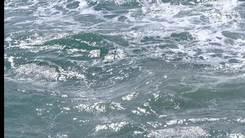 Daily Horoscope | Aquarius 🌟