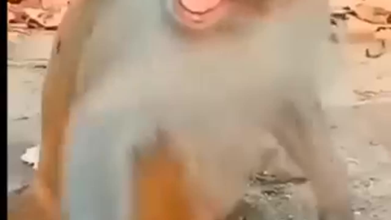 Children funny video