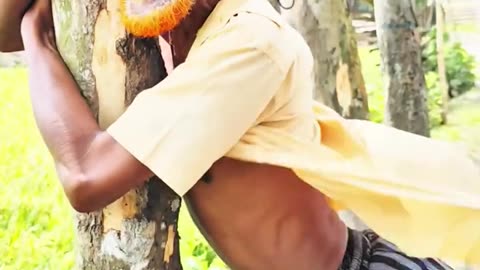 short #funny