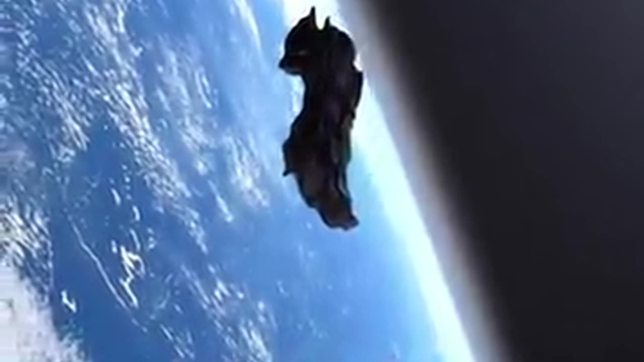 Strange Object Floating In Space (not what you think)