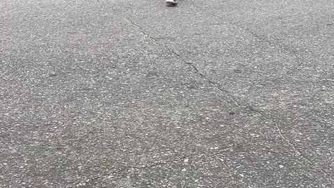 No gum for you! #gum #shortvideo #shortsvideo #busstop #crybaby