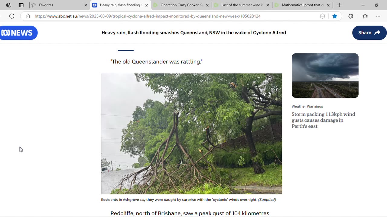 If a tree falls on a house and there's a Matthew in the article about it is that a subtle threat?
