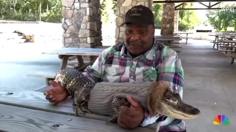 Alligator Banned From Walmart After Bringing A Nigger In The Store