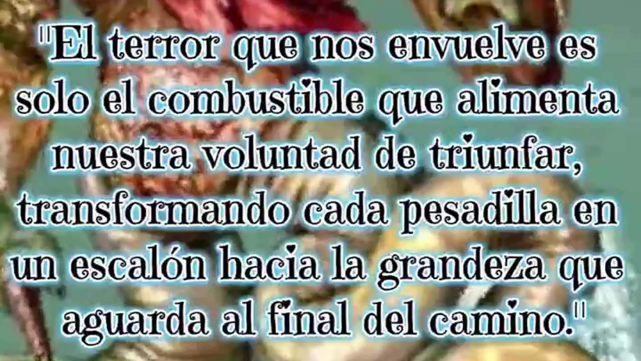 💠 Frase 13 🕷 Demonología 💠
