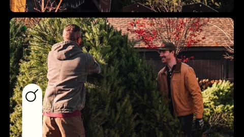 Find Your Perfect Christmas Tree at Walther Gardens & Nursery!