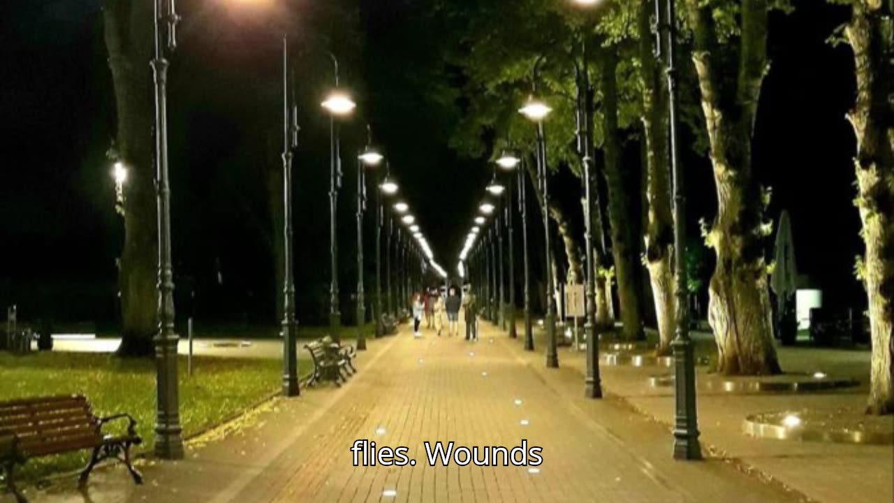 RISE LIKE THE SUN V2