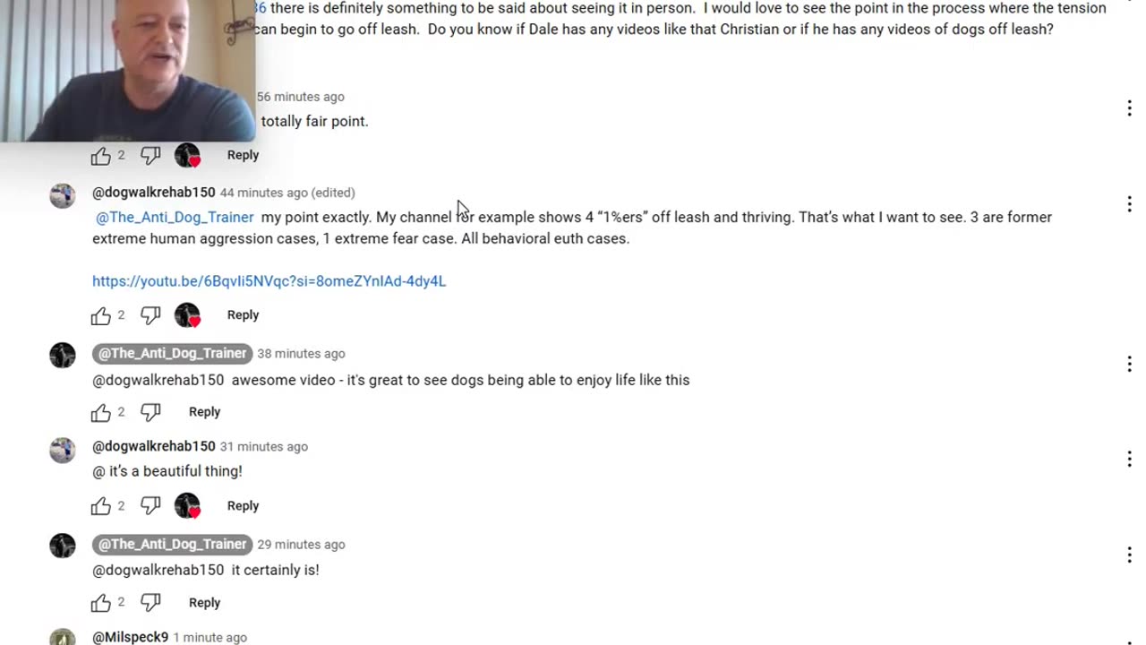 Responding to Comments via The Anti Dog Trainer Video