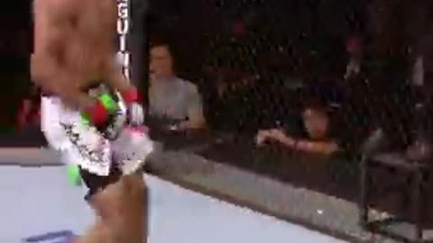 UFC Crowd Favorites | Fighters the Fans Love