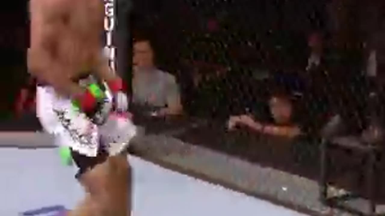 UFC Crowd Favorites | Fighters the Fans Love