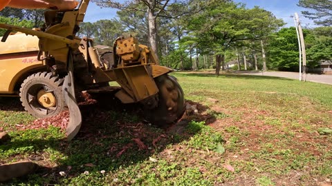 "Grinding GIANT Pine Stumps in Madison, Alabama | Chris's Stump Grinding" Ask ChatGPT