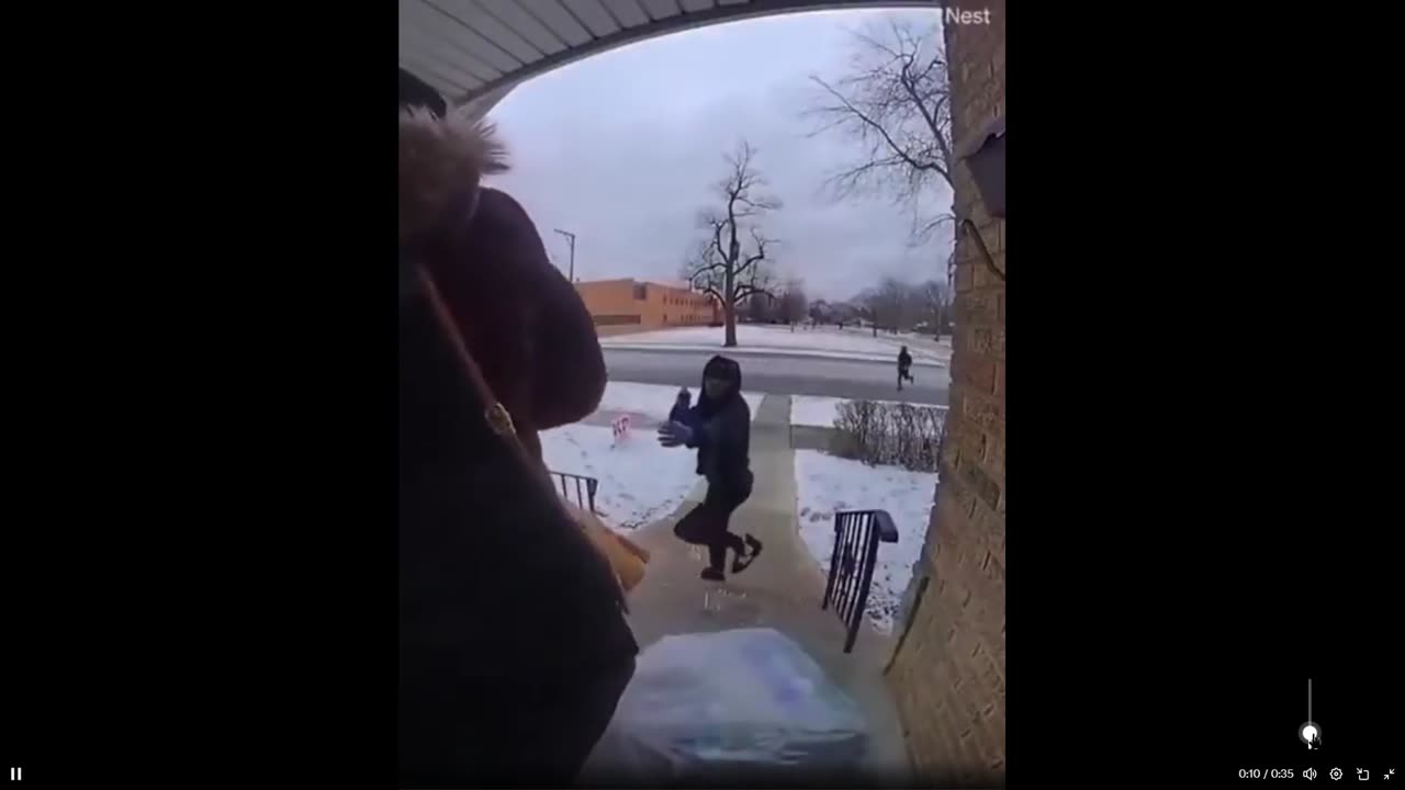 Animals: A woman with a child is robbed at gun point