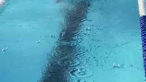 swim meet 2024 part 2