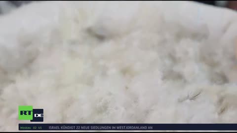 RT DE Live-TV