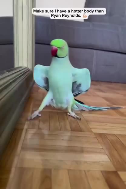 Bird model