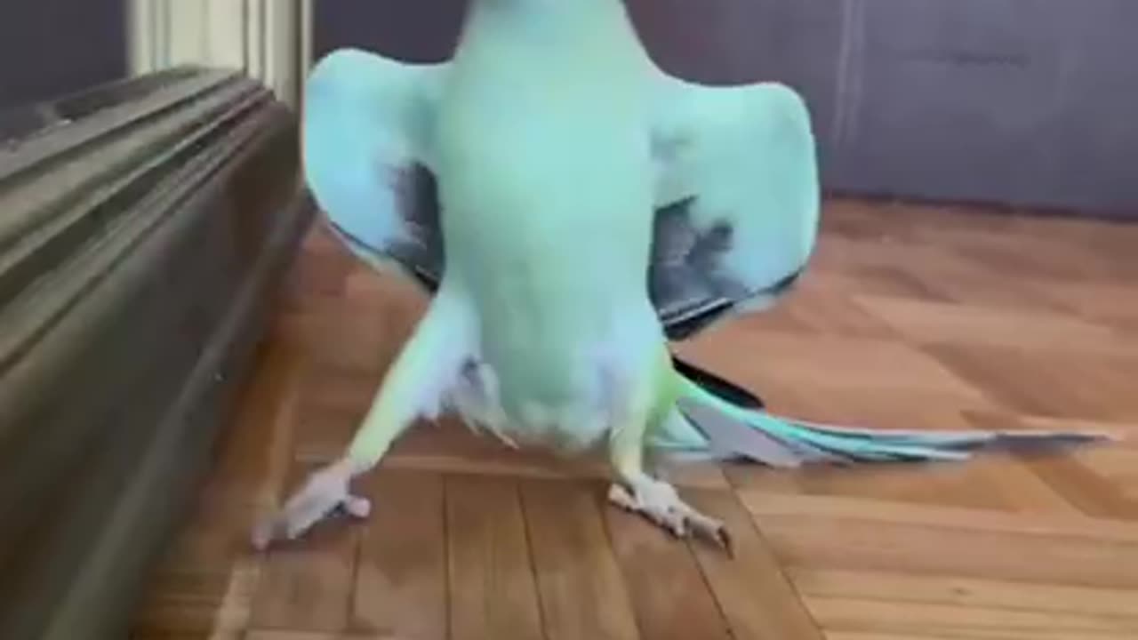 Bird model