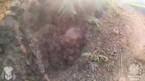 🛡️💥 Ukraine Russia War | Ukrainian Soldier Downs FPV Drone with Shotgun | RCF