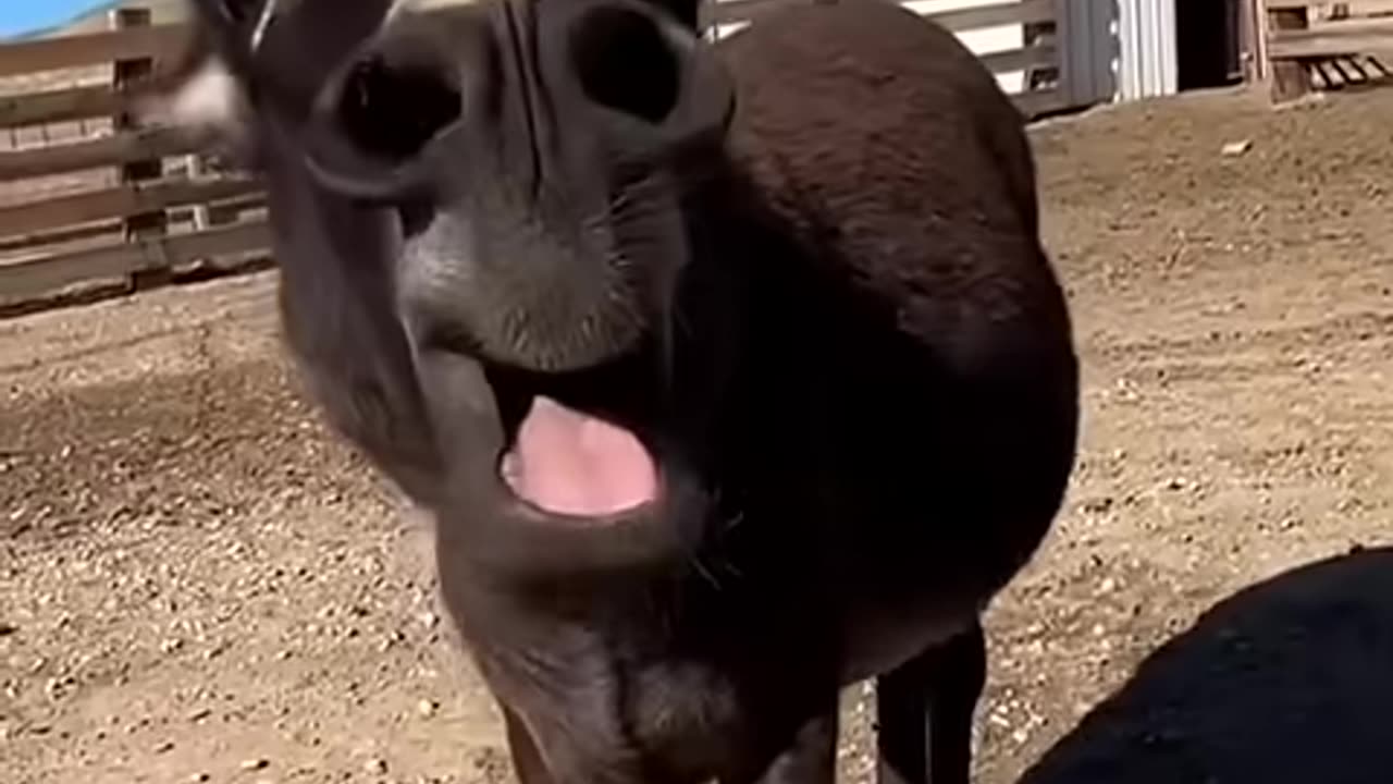 #funny