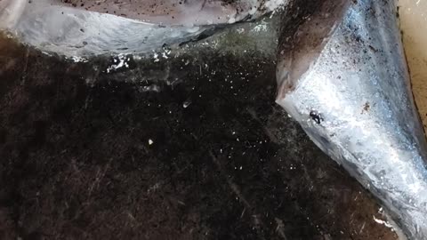 Giprito isdang budlisan