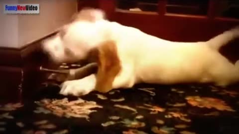 Curious Kid Meets Funny Pets 😂 | Cutest Playtime Ever!