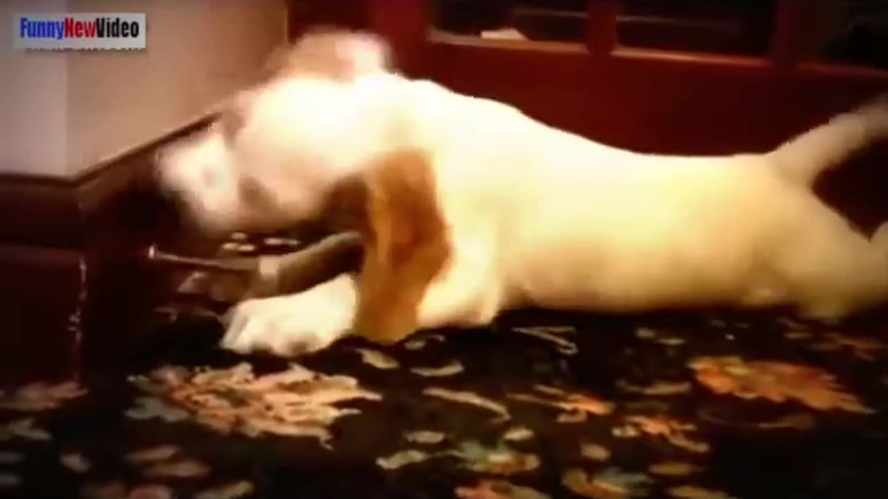 Curious Kid Meets Funny Pets 😂 | Cutest Playtime Ever!