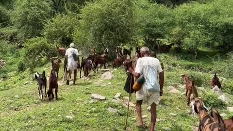 villages life