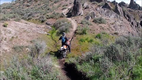 05-14-25 Greenskins, Peak wild flower, long ride