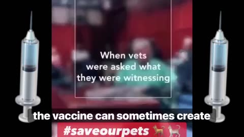 🐈 🐕 VETERINARIAN TESTIMONY..... YOUR PETS ARE DYING FROM VACCINES 💉 😢😡