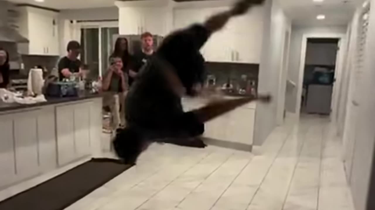 Epic Party Flip