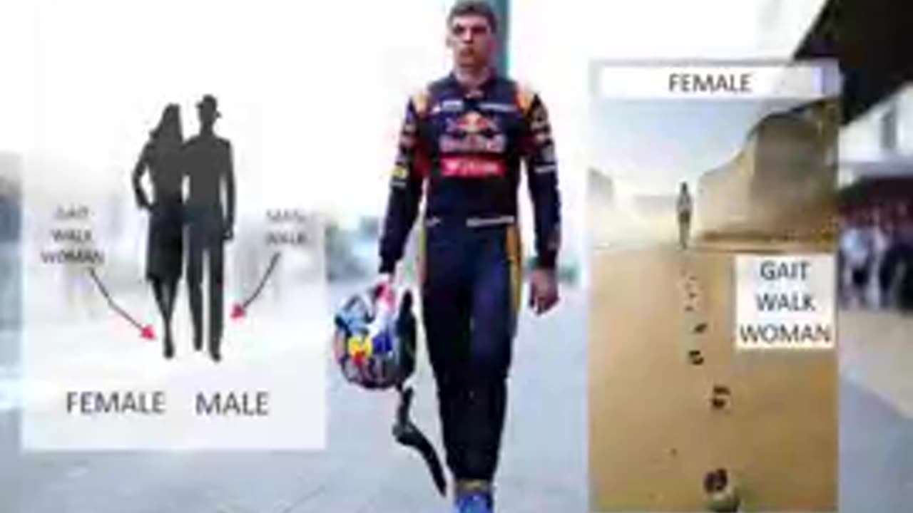 Q GAIT: Max Verstappen #EGI