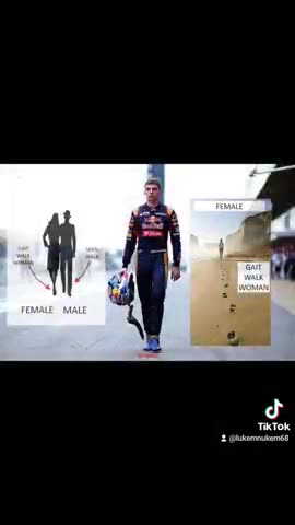 EGI Max Verstappen