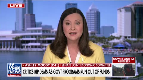 Democrats Blindly Follow Chuck Schumer