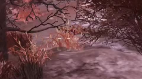 McDicken. Wasteland Survivalist? This is sadly true. #fallout76