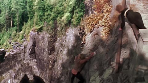 horror - thriller - Dont.Look.Down - 1998 - film