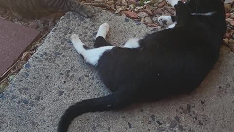 Neo playing rough