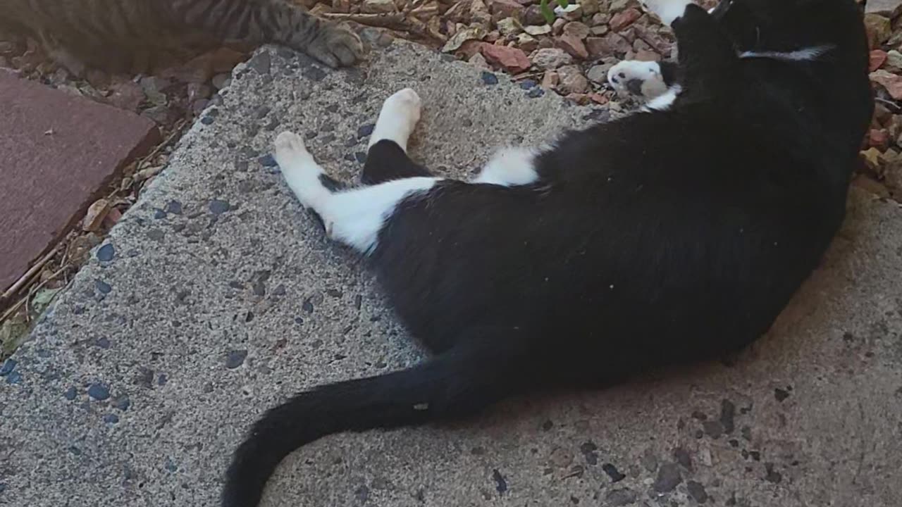 Neo playing rough