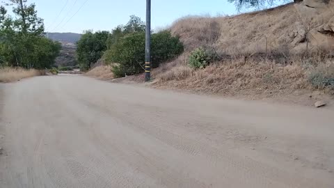 Shia, video recorded 7:00 PM August 29, '25 Part 5-5 by Alyssa Black Star Canyon Trail