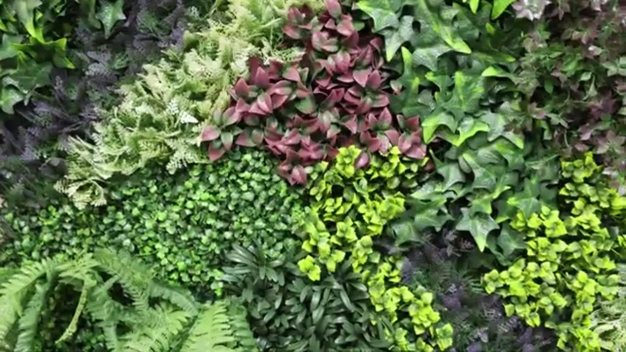 The Designer Plants Difference