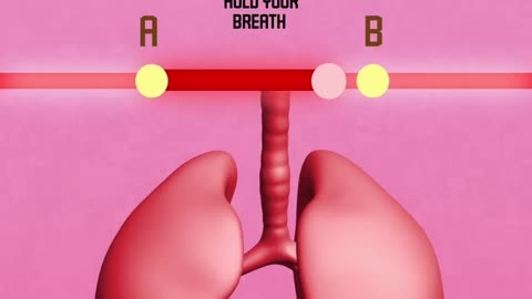 Test your lungs