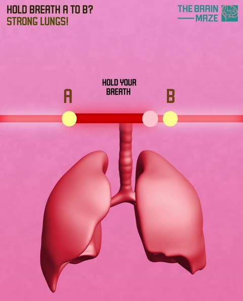 Test your lungs