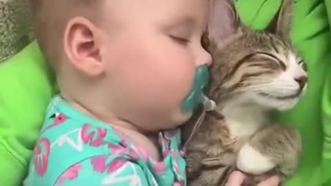 Animal caught on camera