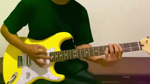 Blink 182 - Enthused (Guitar Cover)