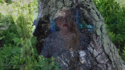 Inonotus Obliquus/Chaga - Czarny Diament Lasu | Grzyb Nieśmiertelności, Odporność i Regeneracja