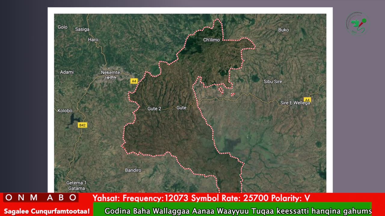 Oduu Waaree ONM-ABO Adoolessa 19-2025 itti dhiyaadhaa!