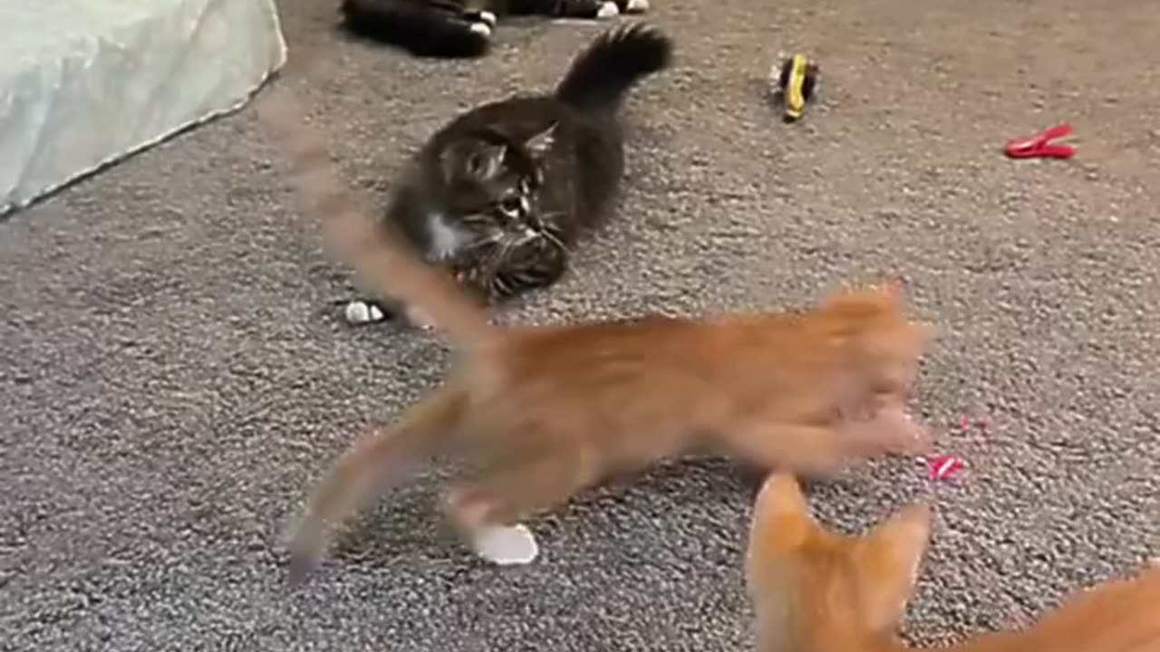Laser