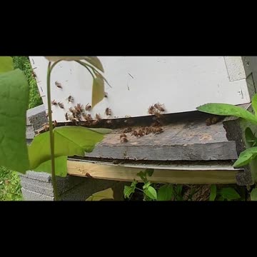 Tuesday Morning Sun Up