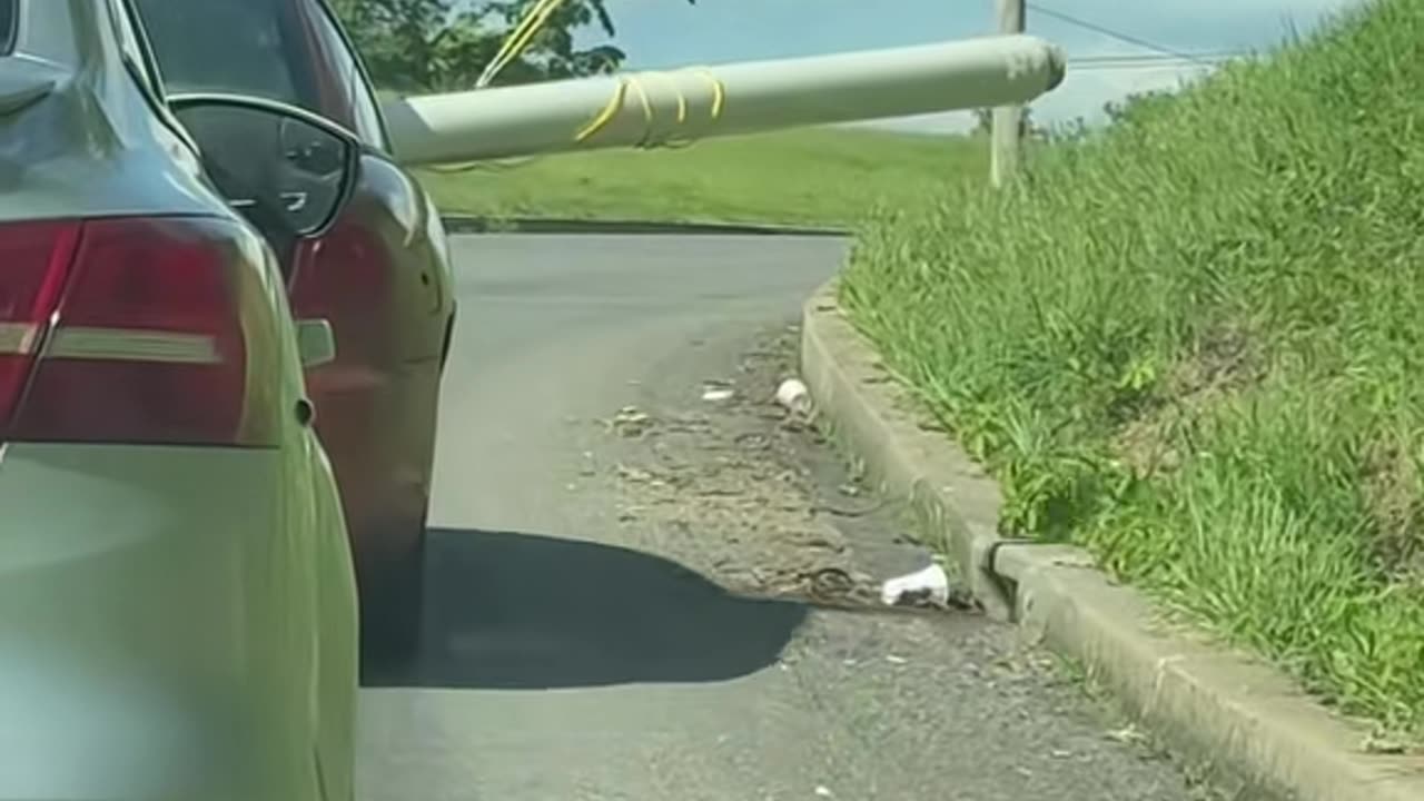 Red Car Carries Wide Load In Peculiar Way