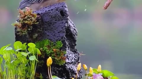 Hunger of the Nature