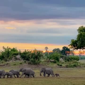 Hey guys wait for me