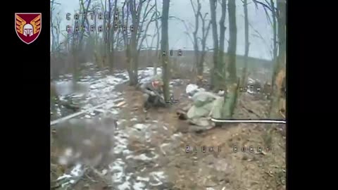 Ukrainian Paratroopers Repel a Massive Armored Assault into Pokrovsk